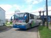 Buses villarrica